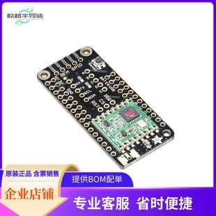 3230【RADIO FEATHERWING - RFM69HCW 433】开发板 套件 编程器