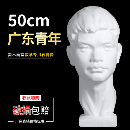 50cm广东青年石膏头像写生教具