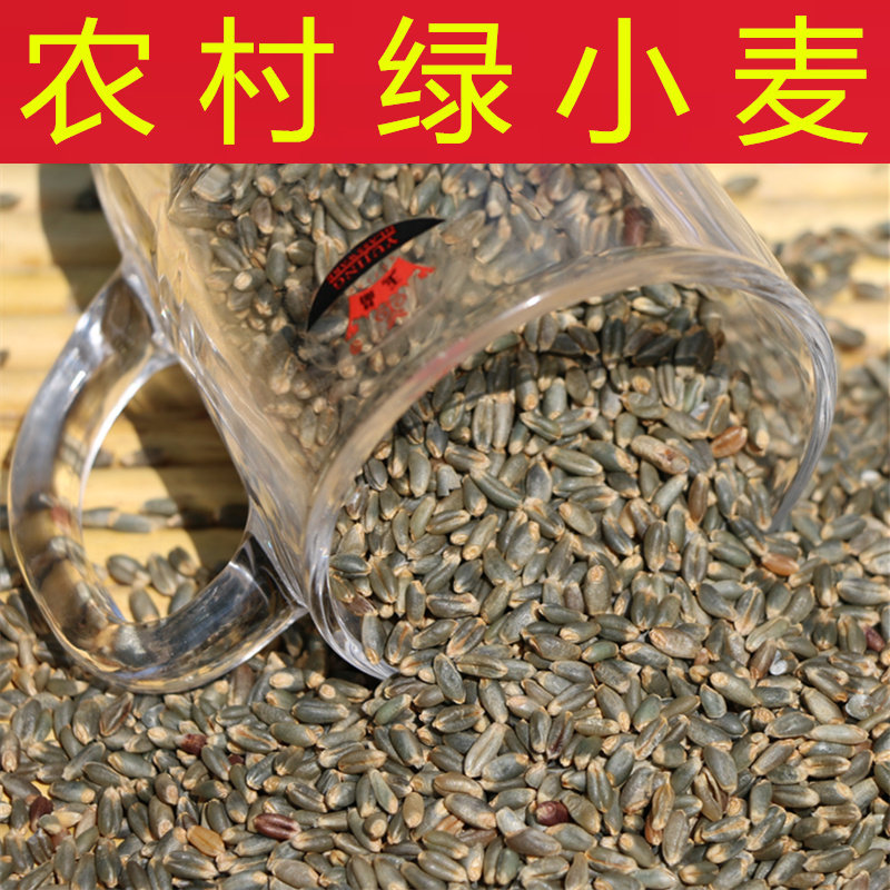 绿小麦 可以做豆浆 发苗芽菜种子 含有胚芽麦麸 纤维素满5斤包邮