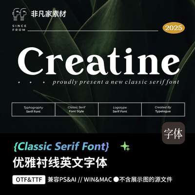 1款英文字体高级感轻奢衬线风格 pr procreate字库ps字体包下载
