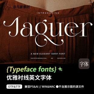 优雅酸性精致衬线艺术风海报画册包装标题网页英文字体PSAI安装包