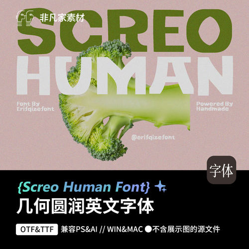 圆体可爱圆润英文字体Win/Mac/Procreate字体PS&AI兼容设计素材