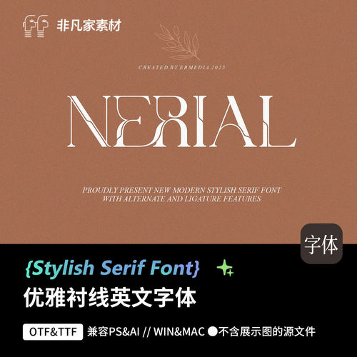 1款时尚潮流婚礼请帖杂志画册封面标题PSAI衬线英文字体安装包