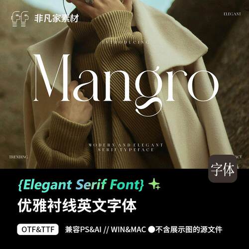 优雅衬线高级轻奢设计感英伦英文logo海报画册标题字体PSAI安装包