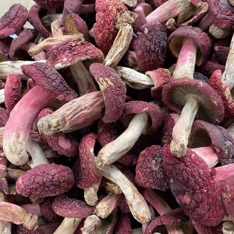 新货野生红菇干货250g半斤红蘑菇菌蘑菇红姑非香菇滋补红香菌