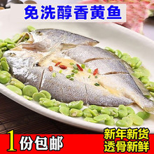 新鲜大黄鱼干 醇香黄鱼干 黄花鱼鲞 免洗即蒸或煎 品三江海味