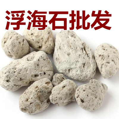包邮 中药材海浮石 海石 水泡石 浮海石 浮水石 浮石花500克