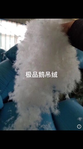 精品羽绒原料9598白鹅绒白鸭绒自充绒吊绒现充羽绒