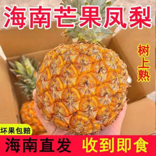 海南发货芒果凤梨菠萝水果香水菠萝新鲜凤梨顺丰包现发大果7.5斤