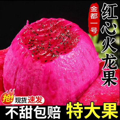 海南金都一号红心火龙果孕妇新鲜红肉水果应当季现摘礼盒包邮顺丰