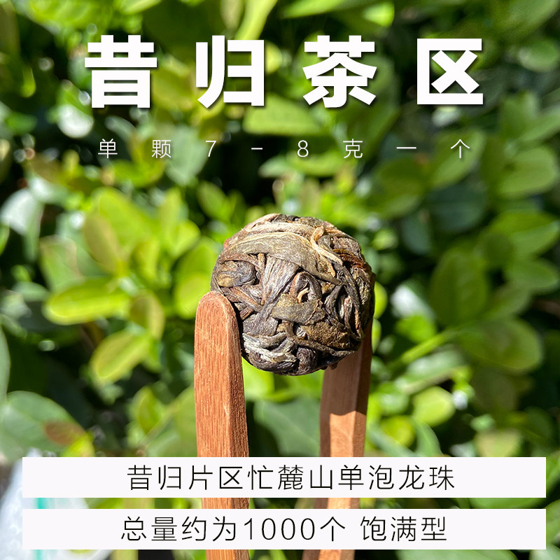 昔归茶区忙麓山普洱茶生茶小龙珠小沱茶古树茶头春春茶2022年
