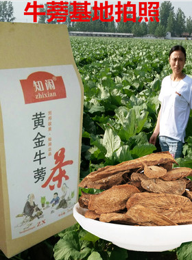 徐州牛蒡茶黄金牛蒡茶牛蒡片茶牛蒡根茶牛旁茶260克 买4送1买6送2