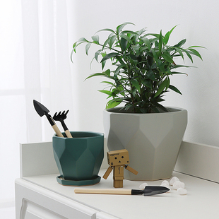北欧简约陶瓷花盆大号个性 带托盘家用绿萝蝴蝶兰花盆盆栽盆器