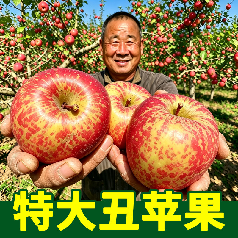 云南昭通丑苹果冰糖心新鲜水果应季现摘现发韶通野生