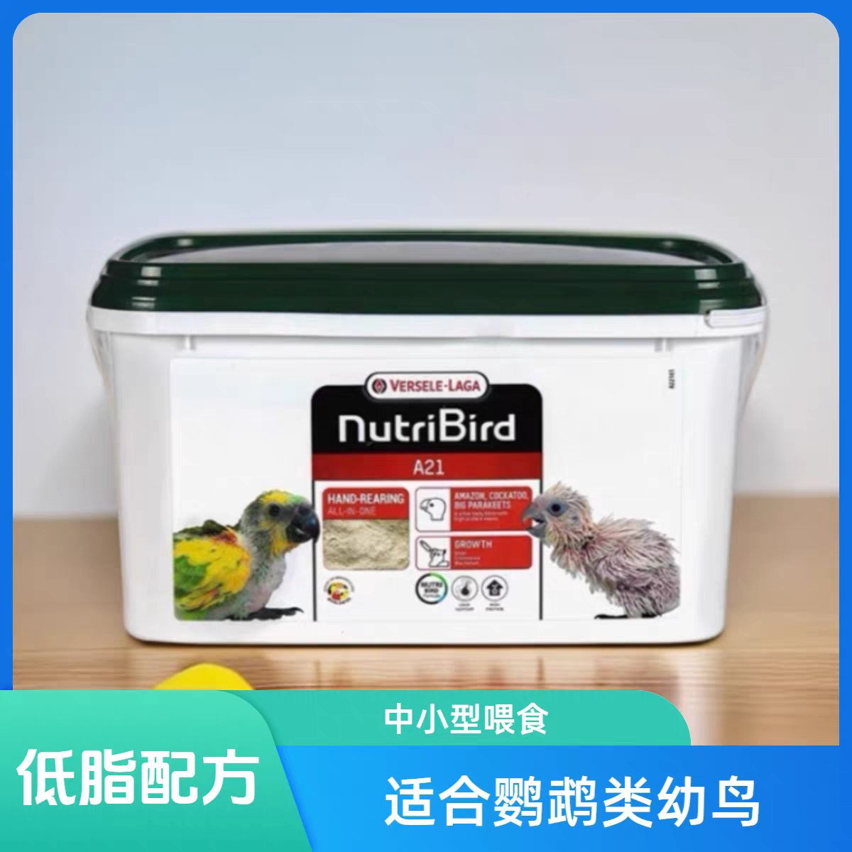 凡赛尔中小型鹦鹉玄凤虎皮牡丹A21鹦鹉奶粉分装A19手养小幼雏鸟仔