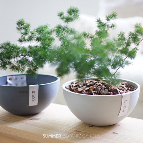 ecopots比利时进口碗形仿石花盆