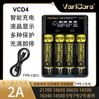21700智能充电器平头尖头通用