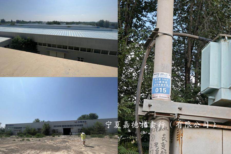 2月16日银川车间、十三号产品展示楼、无证房产（5间彩钢房、1间锅炉房）及土地使用权、构筑物10项、林木13项网络拍卖公告