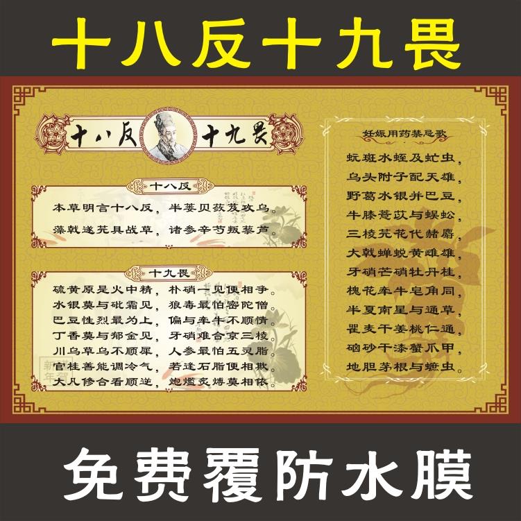 中医文化挂图 十八反十九畏海报中药配伍禁忌宣传画 医院药房挂画