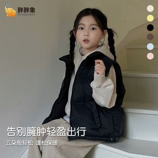 2025秋冬新款男女儿童小孩中大童坎肩保暖羽绒服马甲内心短款百搭