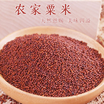 广西粟米粟粉米粉种子龙爪鸭脚拳头䅟子五谷杂粮红啤健康粗粮营养
