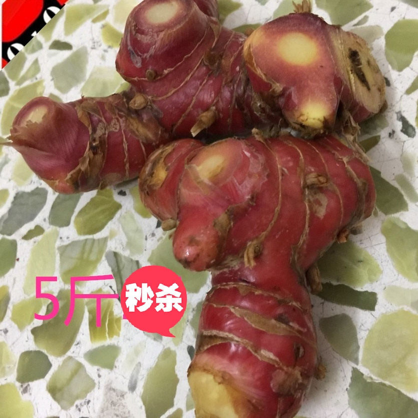 新鲜南姜 潮汕南姜 包邮潮州野生山姜 生姜5斤27.5山姜头蓝姜食用,水产肉类/新鲜蔬果/熟食,其它,淘宝优惠券,粉丝福利购,淘宝优惠卷