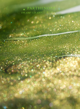 【特别璀璨版】强闪づ彩色墨水金粉闪粉彩墨钢笔蘸水笔玻璃笔可用