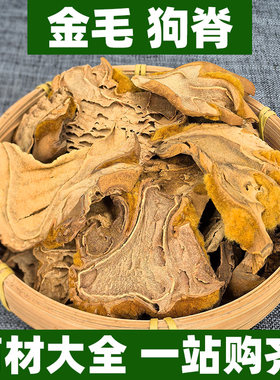 广西野生金毛狗脊蕨中药材