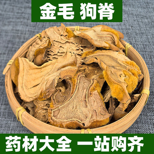 广西野生金毛狗脊蕨中药材