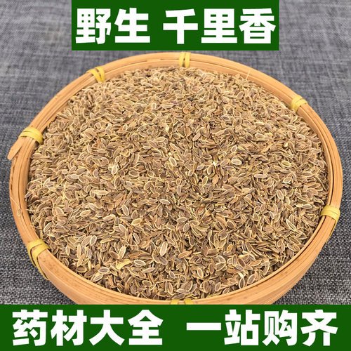 野生千里香中药材正品九里香百里香可打千里香粉香料调料250g500g