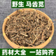 野生马齿苋中药材正品 马齿笕新鲜干货粉非特级中草药材250g500g