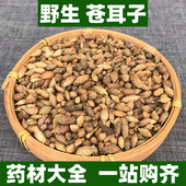 野生苍耳子中药材正品 仓耳子苍耳籽非特级中草药材100g250g500g