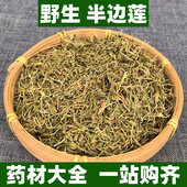 广西野生半边莲中药材正品 新鲜干半边连细米草急解索长虫草蛇利草