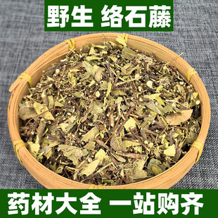 广西野生络石藤中药材正品新鲜干货带叶可打粉石鲮石龙藤石邦藤