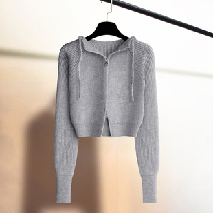 欧货连帽拉链毛衣短外套高级感针织开衫高腰外搭别致保暖上衣女冬