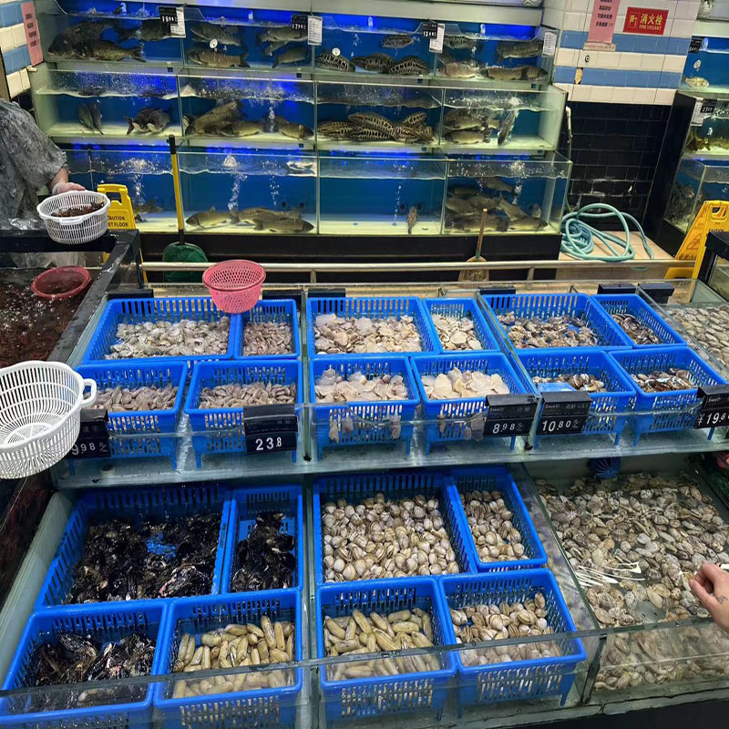 伸缩海鲜筐固定款花甲盒花蛤吐沙贝壳筐塑料筐透水篮饭店市场鱼缸-封面