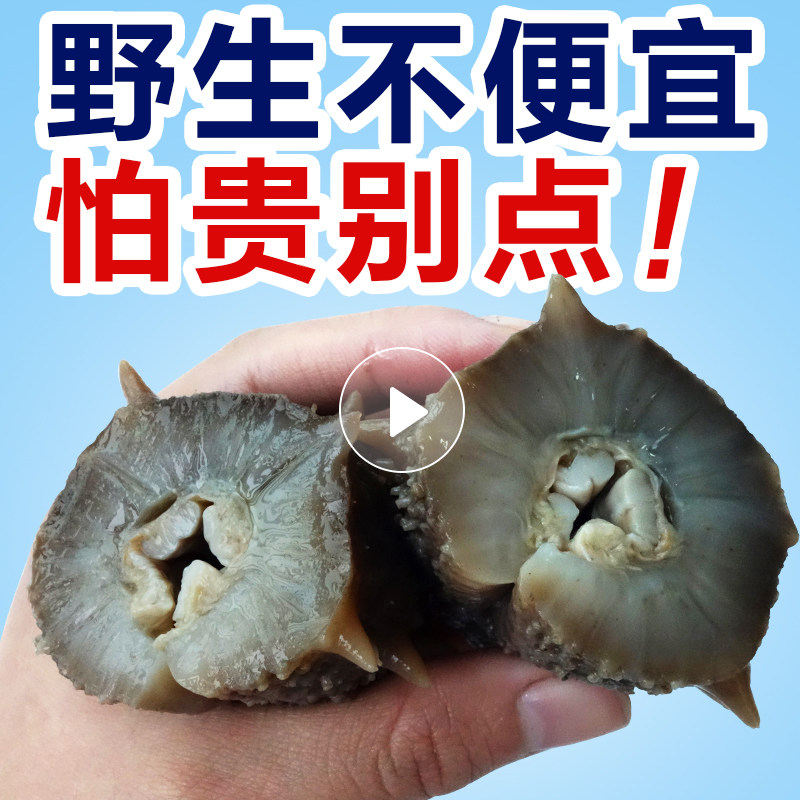 胖虎野生海参威海刺参礼盒自晒