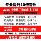 2025抖音歌曲车载无损音源高品质音乐包mv热门DJ经典 流行mp3网盘