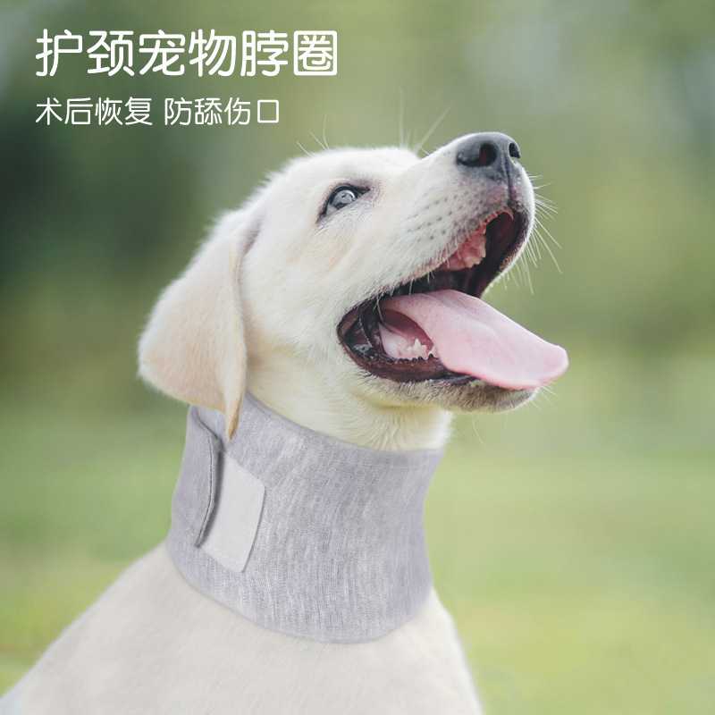 宠物伊丽莎白圈狗狗猫咪脖套颈椎
