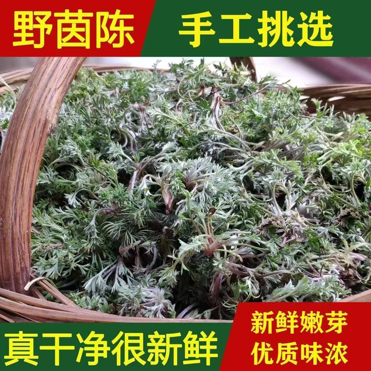 新鲜茵陈蒿天然野生白蒿美味蒸菜现挖时令野菜整颗摘净现货包邮