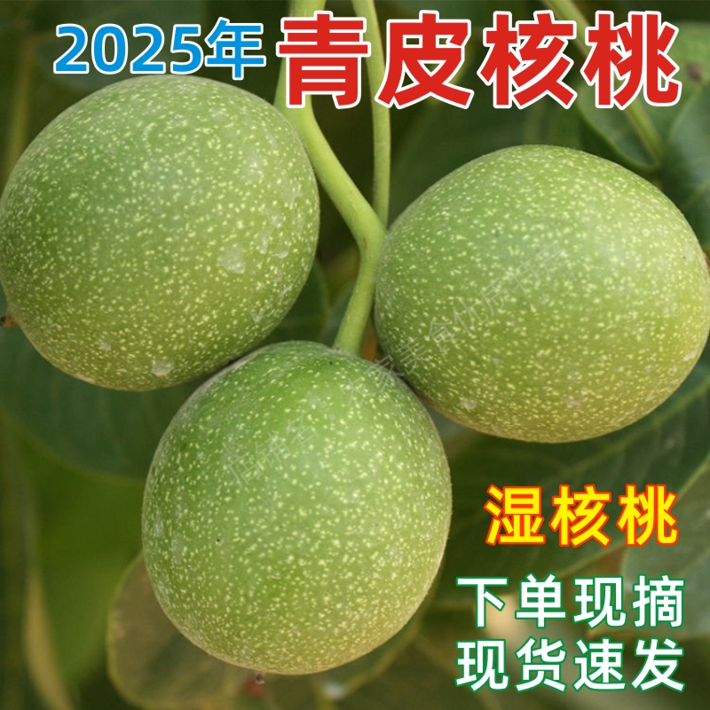 2025年新鲜青皮核桃生核桃现摘绿皮湿核桃薄皮孕妇带青皮现货包邮
