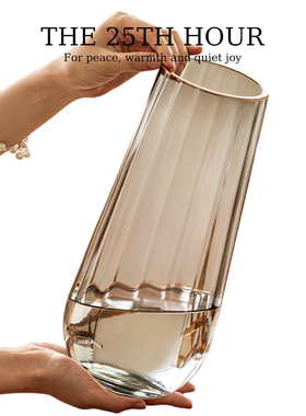 THE 25TH HOUR花瓶摆件客厅插花轻奢高级感透明玻璃水培水养装饰