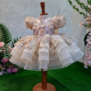 Princess Girls Dress 儿童礼服女童欧美跨境粉色蓬蓬公主裙 Baby