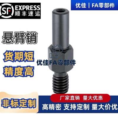 外螺纹悬臂销FXBCPFXBCSFXBC3