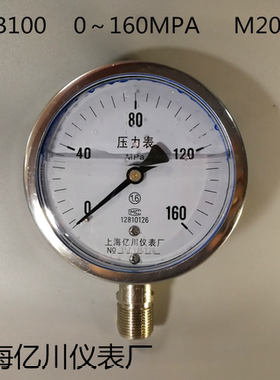 厂家直销亿川耐震304压力表。YNBF100 0～160MPA 1.6级 M20*1.5