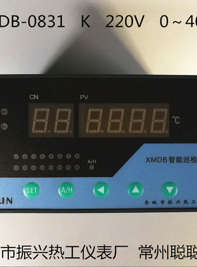 余姚厂家直供智能巡检报警仪 XMDB-0831 K 220V 0～300～400.C
