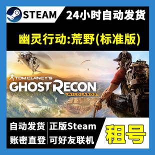 【正版Steam租号】幽灵行动:荒野 标准版租号 可好友联机  游戏