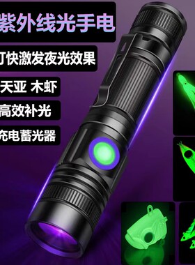 UV紫光灯钓鱼补光手电筒铁板木虾鱼钩395nm夜光蓄光灯海钓诱鱼灯
