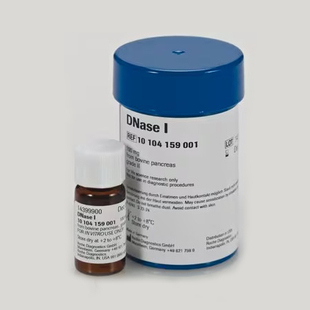 脱氧核糖核酸酶 DNase 10104159001