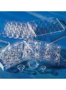 Corning 3462 Transwell嵌套含12孔板 (带聚脂膜12mm3.0um)康宁